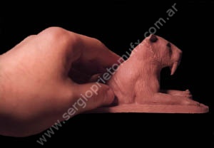 SMILODON MAQUETA PERFIL TAMAÑO